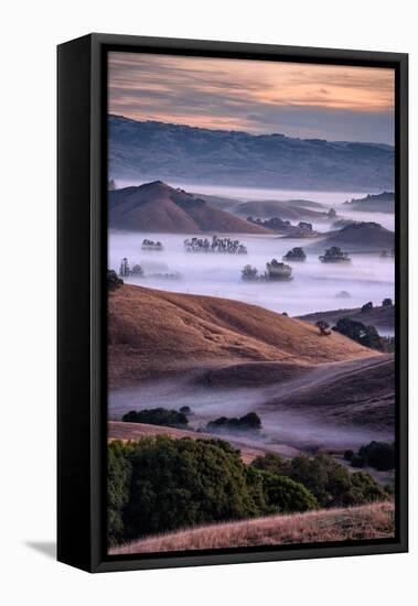 Dreamy Country Hills and Fog, Petaluma, Sonoma, Bay Area-Vincent James-Framed Premier Image Canvas