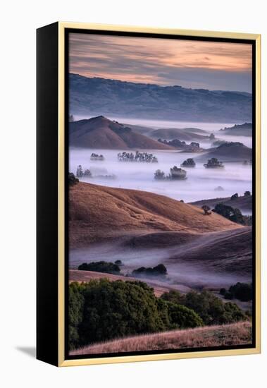 Dreamy Country Hills and Fog, Petaluma, Sonoma, Bay Area-Vincent James-Framed Premier Image Canvas