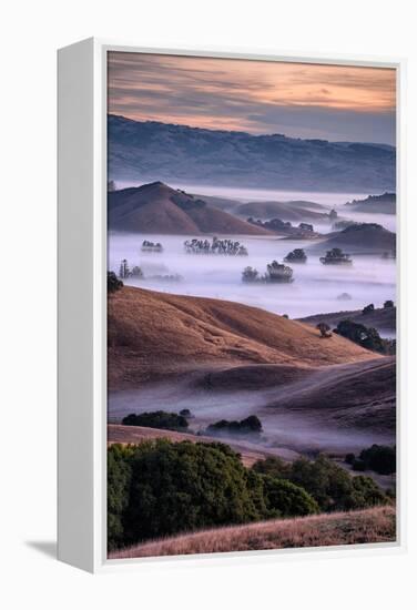 Dreamy Country Hills and Fog, Petaluma, Sonoma, Bay Area-Vincent James-Framed Premier Image Canvas