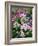 Dreamy Daisy Field-George Oze-Framed Photographic Print