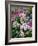 Dreamy Daisy Field-George Oze-Framed Photographic Print