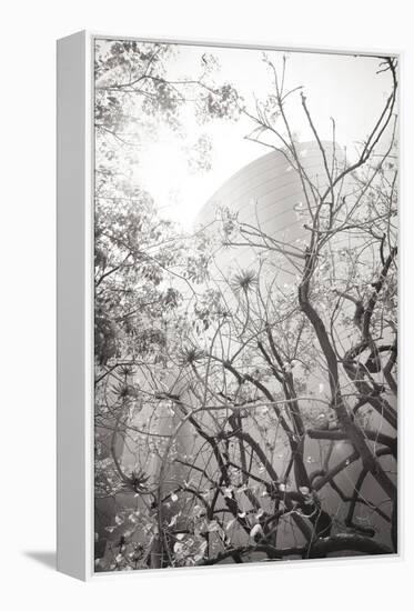 Dreamy Disney Concert View-Chris Moyer-Framed Premier Image Canvas