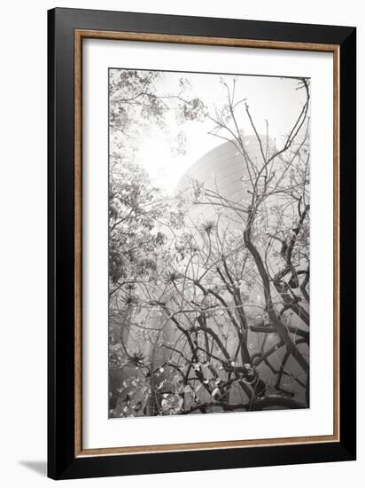 Dreamy Disney Concert View-Chris Moyer-Framed Photographic Print