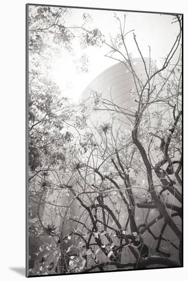 Dreamy Disney Concert View-Chris Moyer-Mounted Photographic Print