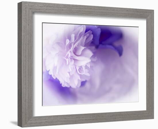 Dreamy Florals in Violet I-Eva Bane-Framed Photographic Print