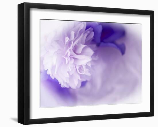 Dreamy Florals in Violet I-Eva Bane-Framed Photographic Print