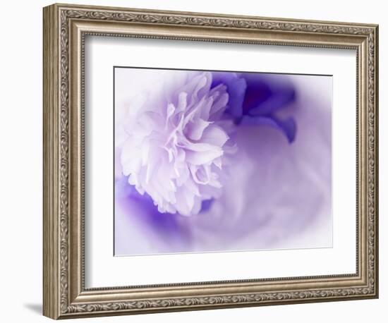 Dreamy Florals in Violet I-Eva Bane-Framed Photographic Print