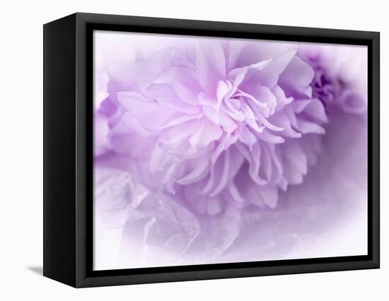 Dreamy Florals in Violet II-Eva Bane-Framed Premier Image Canvas