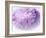 Dreamy Florals in Violet II-Eva Bane-Framed Photographic Print