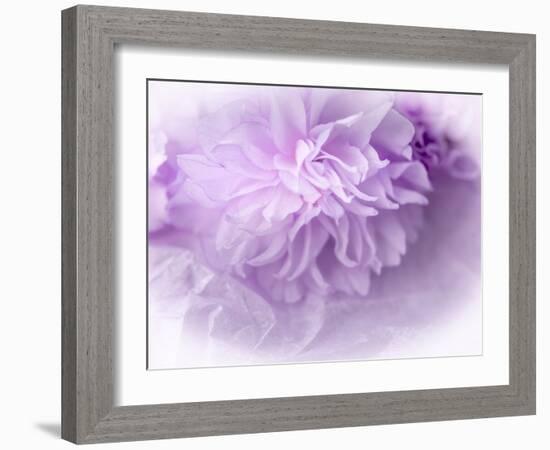 Dreamy Florals in Violet II-Eva Bane-Framed Photographic Print