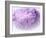 Dreamy Florals in Violet II-Eva Bane-Framed Photographic Print