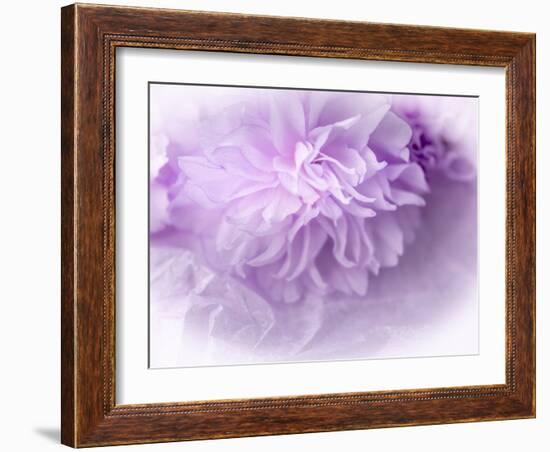 Dreamy Florals in Violet II-Eva Bane-Framed Photographic Print