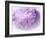 Dreamy Florals in Violet II-Eva Bane-Framed Photographic Print