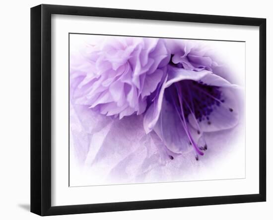 Dreamy Florals in Violet III-Eva Bane-Framed Photographic Print