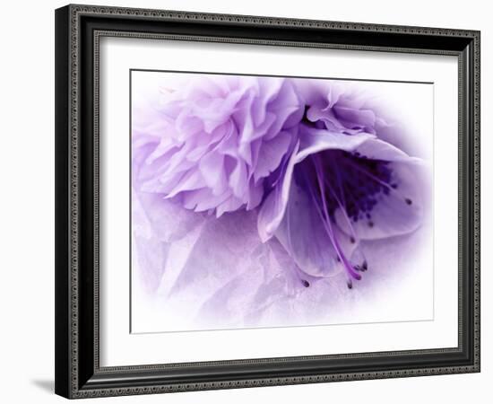 Dreamy Florals in Violet III-Eva Bane-Framed Photographic Print