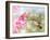 Dreamy Image Of A Ruby-Throated Hummingbird Hovering Next To A Pink Gladiolus Flower-Sari ONeal-Framed Photographic Print