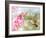 Dreamy Image Of A Ruby-Throated Hummingbird Hovering Next To A Pink Gladiolus Flower-Sari ONeal-Framed Photographic Print