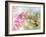 Dreamy Image Of A Ruby-Throated Hummingbird Hovering Next To A Pink Gladiolus Flower-Sari ONeal-Framed Photographic Print