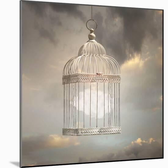 Dreamy Image that Represent a Cloud inside a Cage with a Beautiful Sky in the Background-Valentina Photos-Mounted Photographic Print