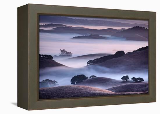 Dreamy Light and Fog, Petaluma Hills, Sonoma County, Bay Area-Vincent James-Framed Premier Image Canvas