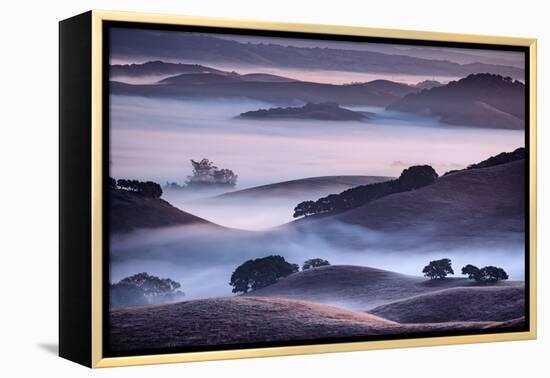 Dreamy Light and Fog, Petaluma Hills, Sonoma County, Bay Area-Vincent James-Framed Premier Image Canvas