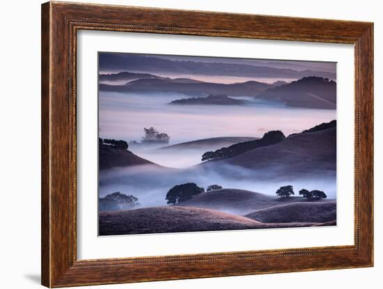 Dreamy Light and Fog, Petaluma Hills, Sonoma County, Bay Area-Vincent James-Framed Photographic Print