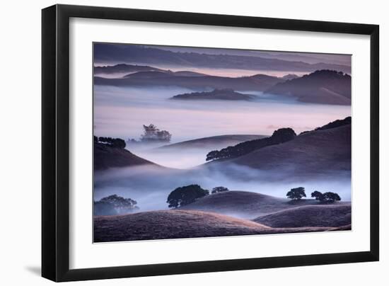 Dreamy Light and Fog, Petaluma Hills, Sonoma County, Bay Area-Vincent James-Framed Photographic Print