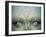 Dreamy Mind-ValentinaPhotos-Framed Art Print