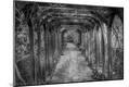 Photographic Print