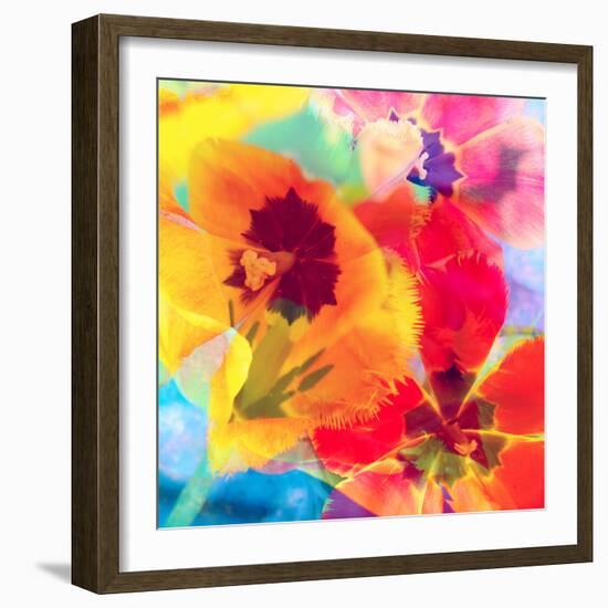 Dreamy Photographic Layer Work from Tulips-Alaya Gadeh-Framed Photographic Print