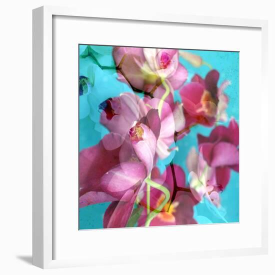 Dreamy Pink Blooming Miltonia Orchid and Phaleaonopsis Infront of Light Blue Backgound-Alaya Gadeh-Framed Photographic Print