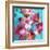 Dreamy Pink Blooming Miltonia Orchid and Phaleaonopsis Infront of Light Blue Backgound-Alaya Gadeh-Framed Photographic Print