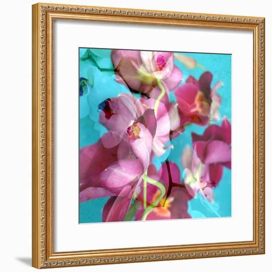 Dreamy Pink Blooming Miltonia Orchid and Phaleaonopsis Infront of Light Blue Backgound-Alaya Gadeh-Framed Photographic Print