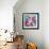 Dreamy Pink Blooming Miltonia Orchid and Phaleaonopsis Infront of Light Blue Backgound-Alaya Gadeh-Framed Photographic Print displayed on a wall