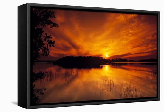 Dreamy Sunset in Swampy Waters, Everglades National Park, Florida, USA-Jerry Ginsberg-Framed Premier Image Canvas