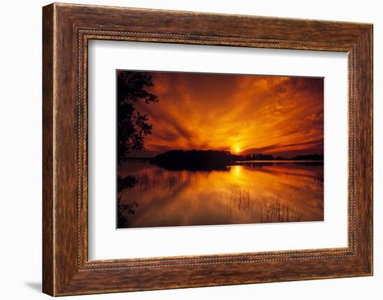 Dreamy Sunset in Swampy Waters, Everglades National Park, Florida, USA-Jerry Ginsberg-Framed Photographic Print