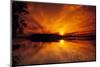 Dreamy Sunset in Swampy Waters, Everglades National Park, Florida, USA-Jerry Ginsberg-Mounted Photographic Print