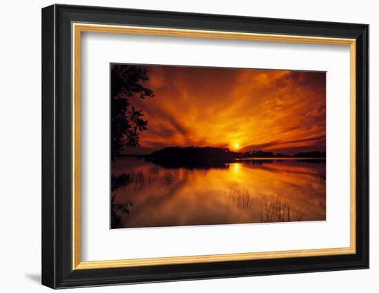 Dreamy Sunset in Swampy Waters, Everglades National Park, Florida, USA-Jerry Ginsberg-Framed Photographic Print