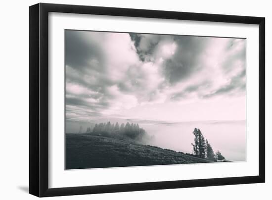 Dreamy Walk, Black and White, Hayden Valley, Yellowstone National Park-Vincent James-Framed Photographic Print