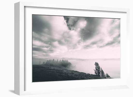 Dreamy Walk, Black and White, Hayden Valley, Yellowstone National Park-Vincent James-Framed Photographic Print