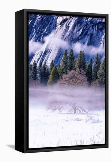 Dreamy Winter Yosemite Valley, Beautiful California-Vincent James-Framed Premier Image Canvas