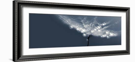 Dreamy-Heidi Westum-Framed Photographic Print