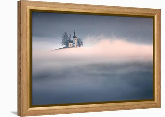 Dreamy-Sandi Bertoncelj-Framed Premier Image Canvas