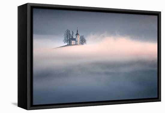 Dreamy-Sandi Bertoncelj-Framed Premier Image Canvas