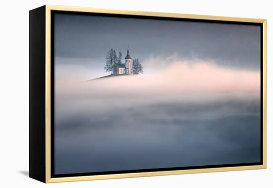 Dreamy-Sandi Bertoncelj-Framed Premier Image Canvas