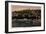 Dresden Loschwitz, Dampfer Pillnitz, Bergschwebebahn-null-Framed Giclee Print