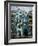 Dresden, Saxony, Germany, Europe-Michael Snell-Framed Photographic Print