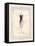 Dress Form I-Steve Leal-Framed Stretched Canvas