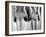 Dress Hemlines Displayed to Show Shorter Hem an Effort to Conserve Fabric During WWII-Nina Leen-Framed Photographic Print