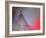 Dress Me In Some Red-Heidi Westum-Framed Photographic Print